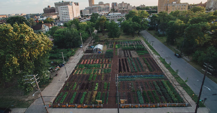 Detroit Agrihood